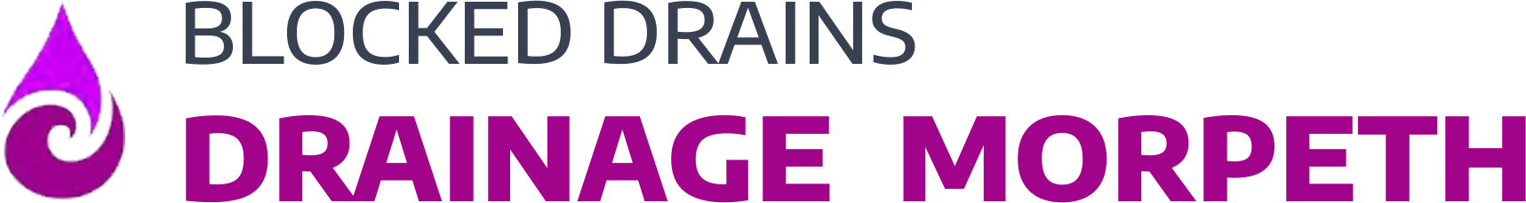 website logo